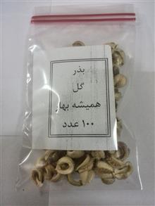 بذر