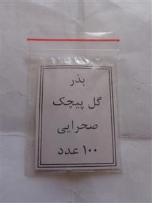 بذر