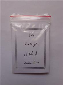 بذر