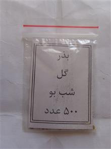 بذر