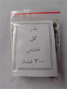 بذر