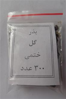 بذر