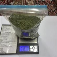 بلغور