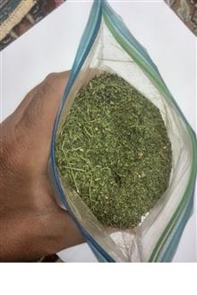 بلغور
