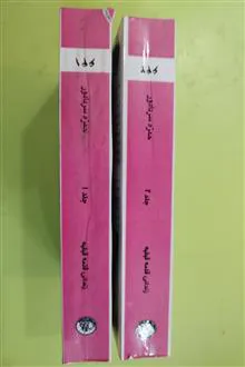 زندانی