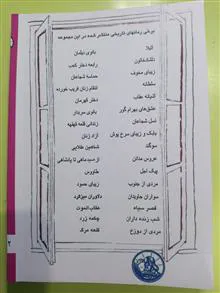 انسان