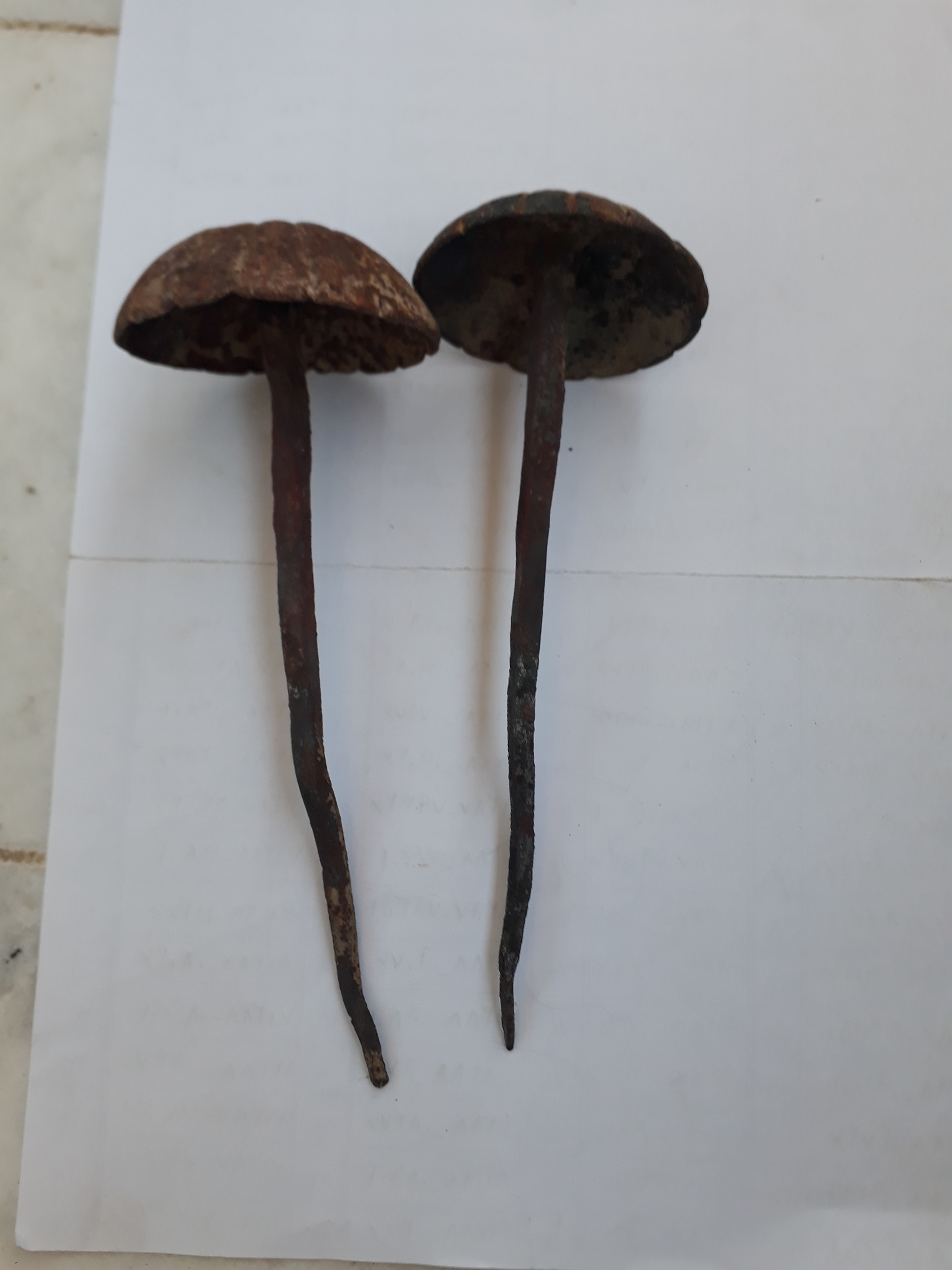 2 عدد گل میخ بزرگ زیبا