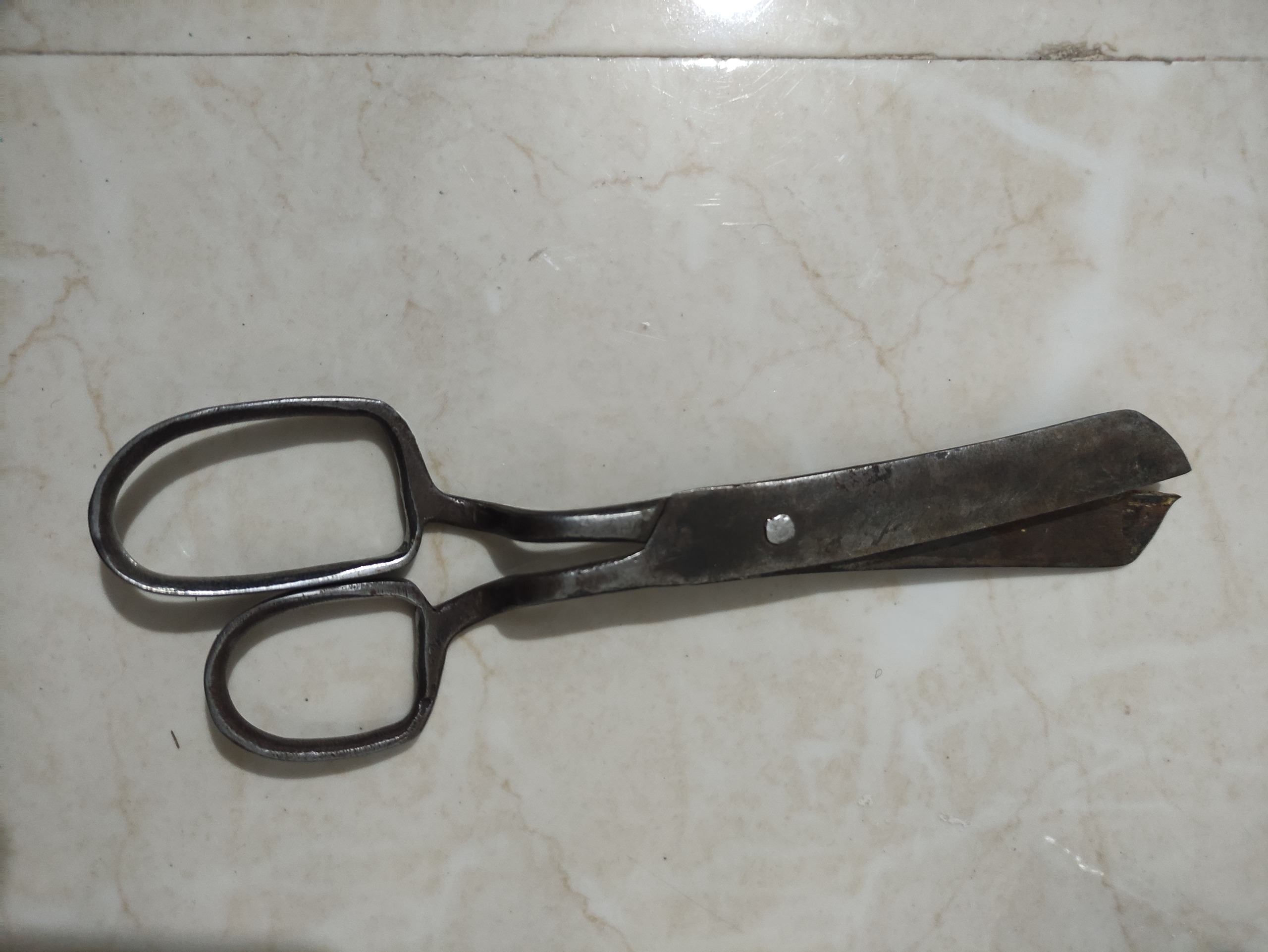 قیچی قالی عالی و زیبا