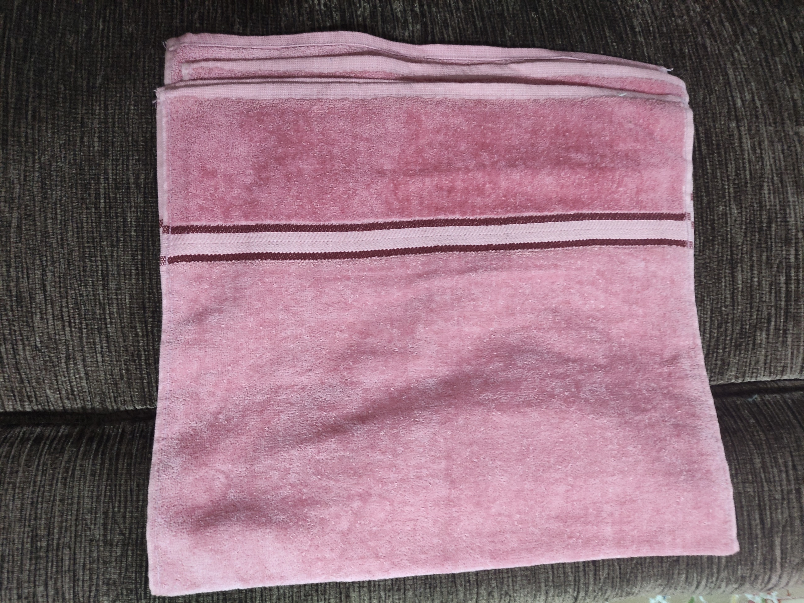 دو عدد حوله آمریکایی طبق توضیح