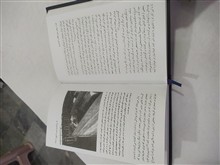 انسان