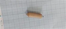 گردن