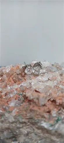 گل