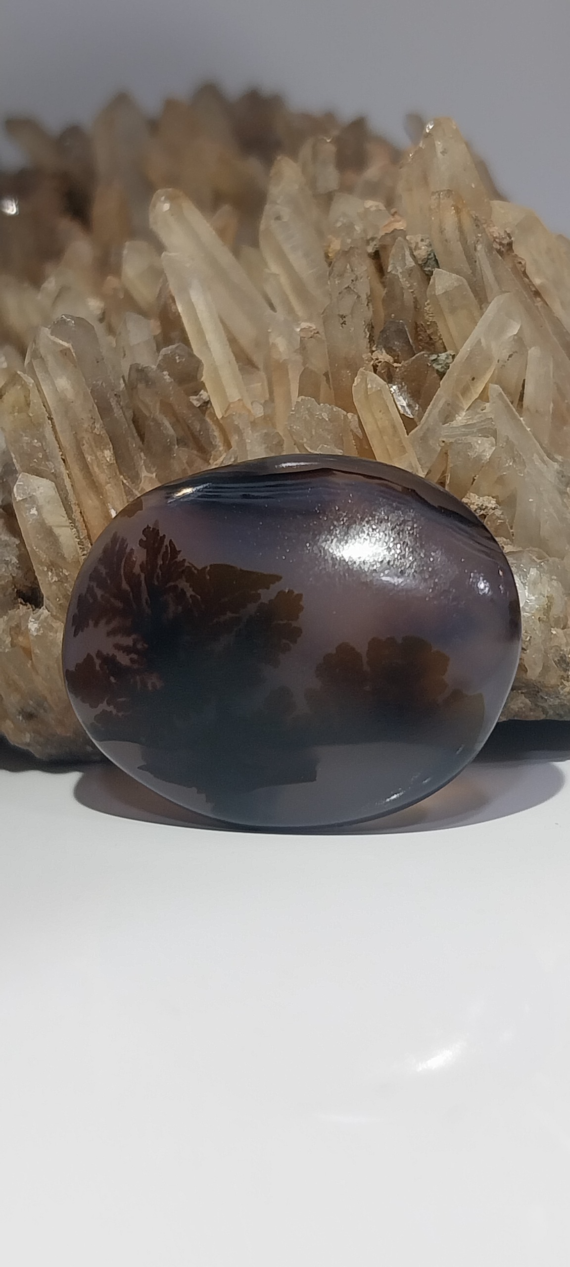 نگین بینظیر شجر منظره کاملا بینظیر