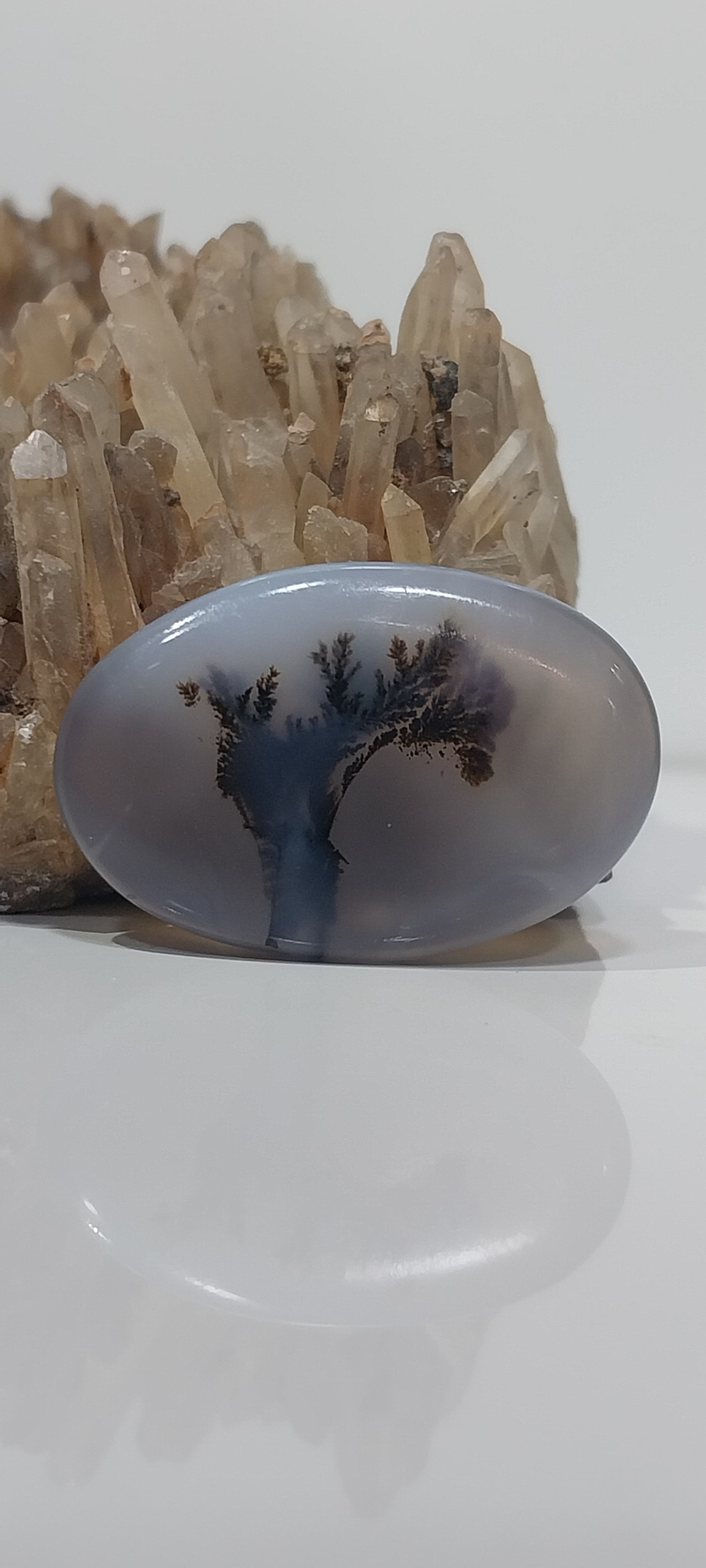 نگین شجر بسیار زیبای تک درخت طرح پرنده