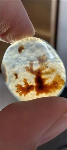 نگین