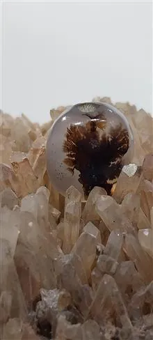 نگین