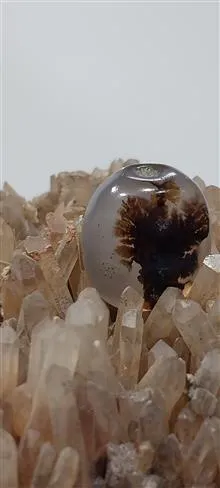 نگین