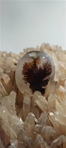 نگین