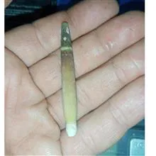 عرج