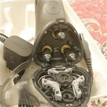 ریش