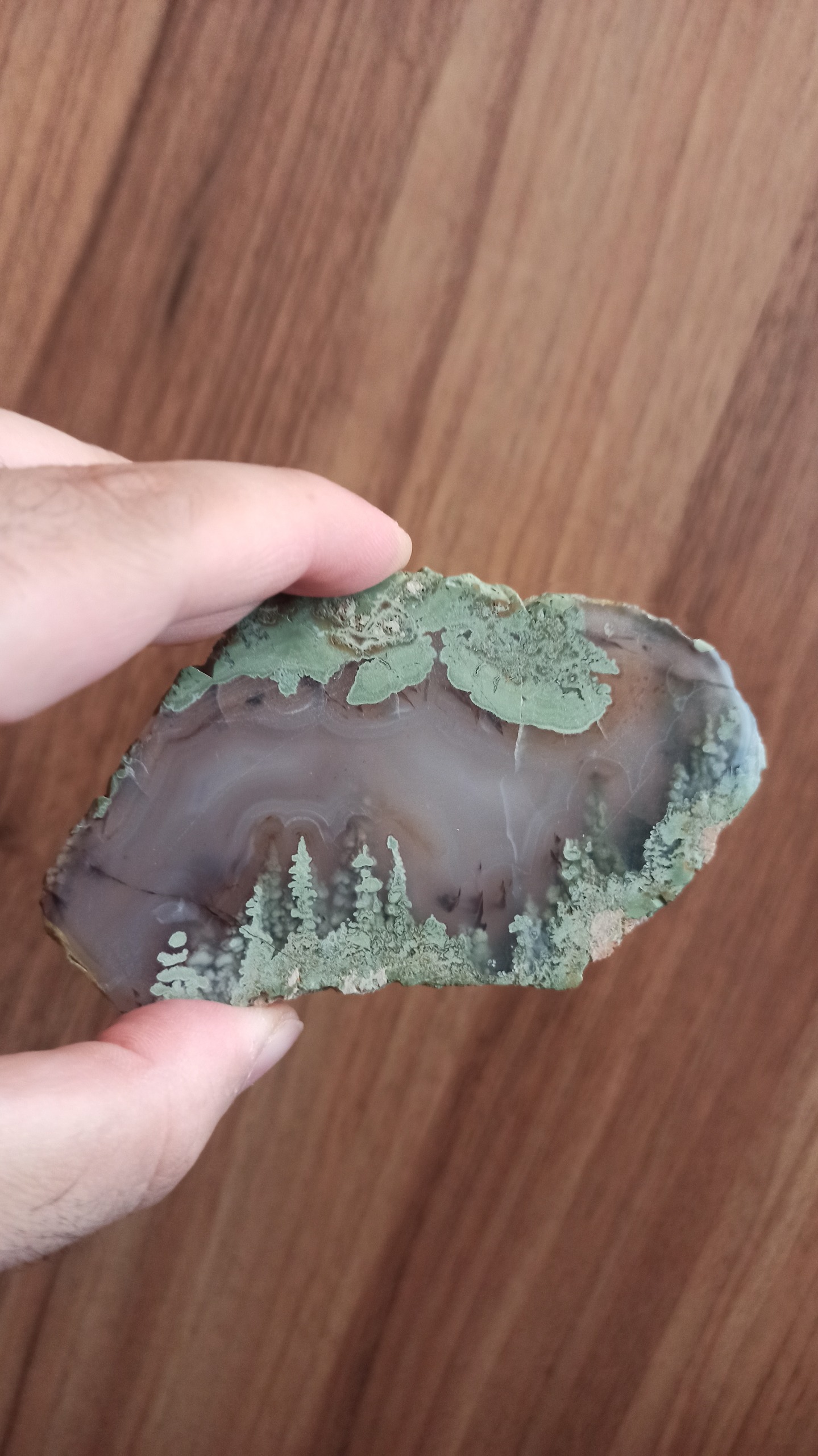 اسلایس عقیق شجر مصور کلکسیونی