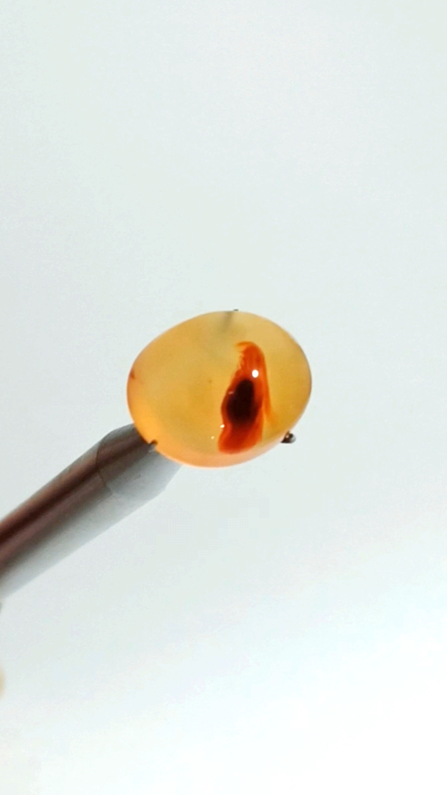 نگین عقیق یمن یمانی نباتی مصور زعفرانی