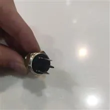 فشنگی