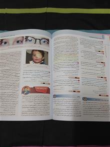 گایدلاین