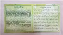 فولدر