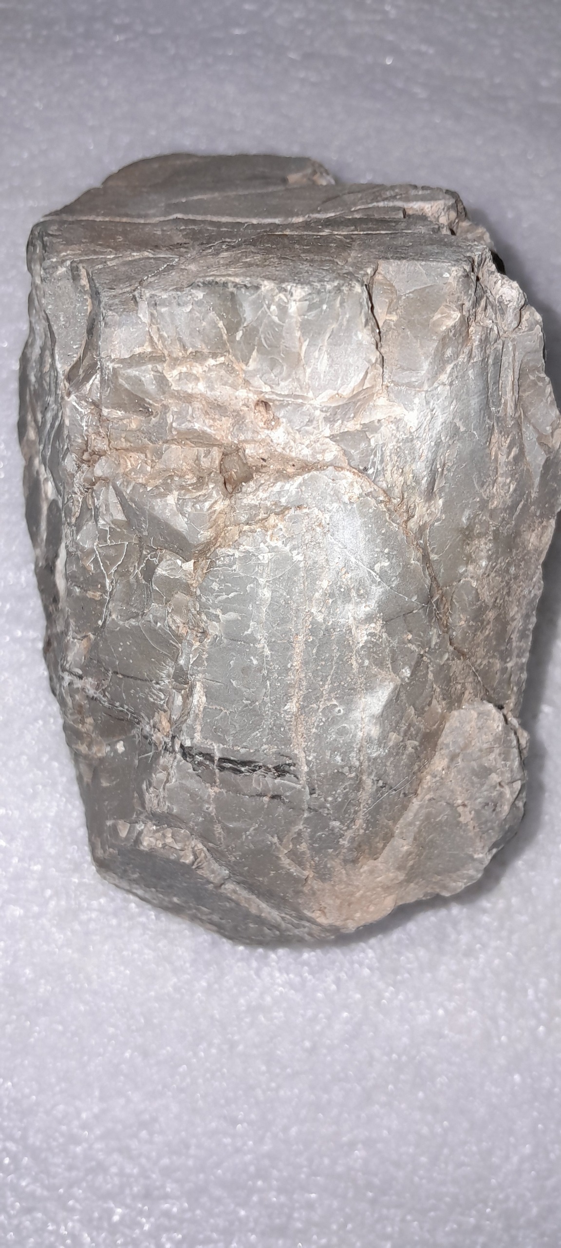 راف عقیق توسی