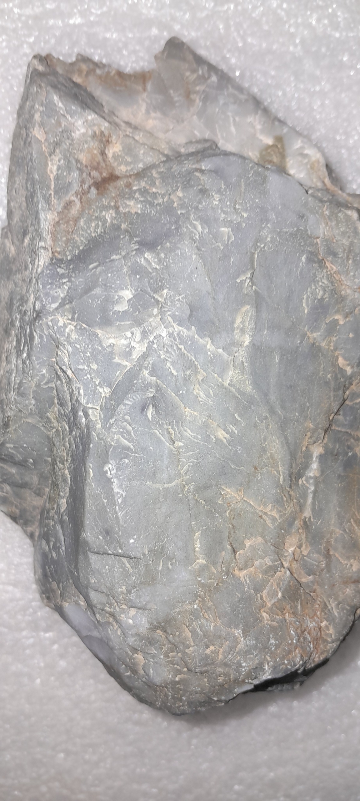 راف عقیق طوسی