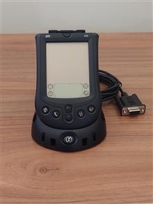 Palm