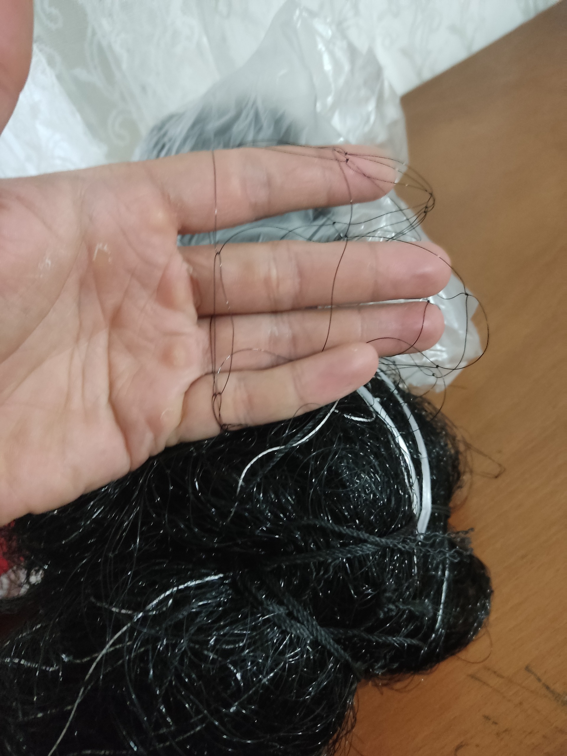 تور هوایی طرقه سار زنبور خوار طرقه