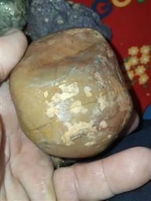 انواع