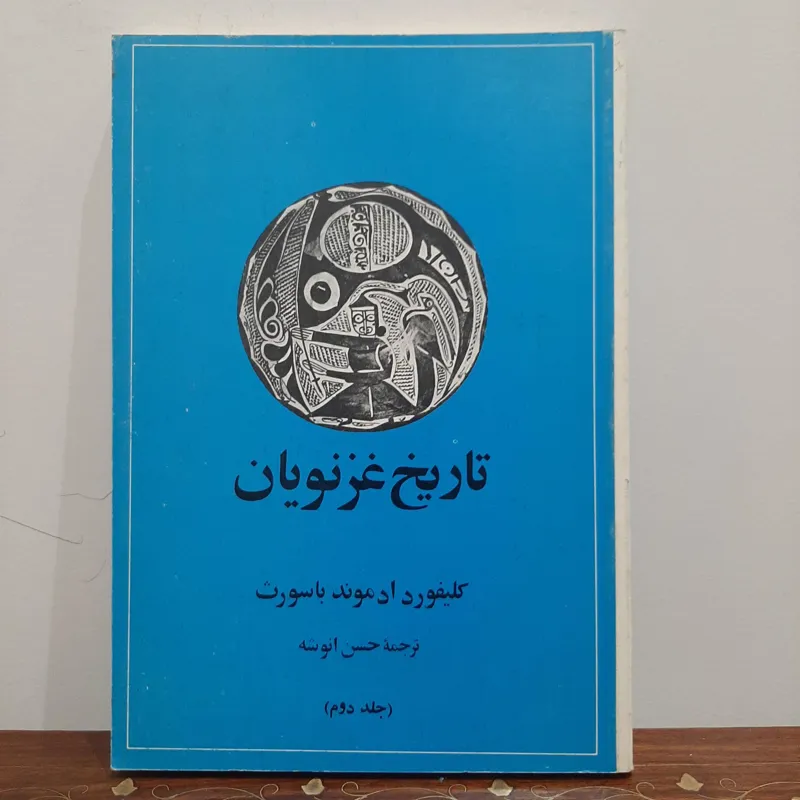 تاریخ غزنویان/ جلد2