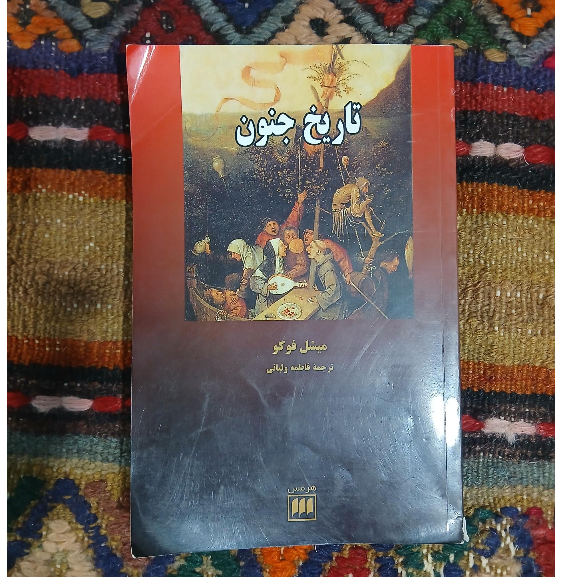 تا ریخ جنون میشل فو کو، فاطمه ولیانی