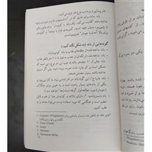 غار