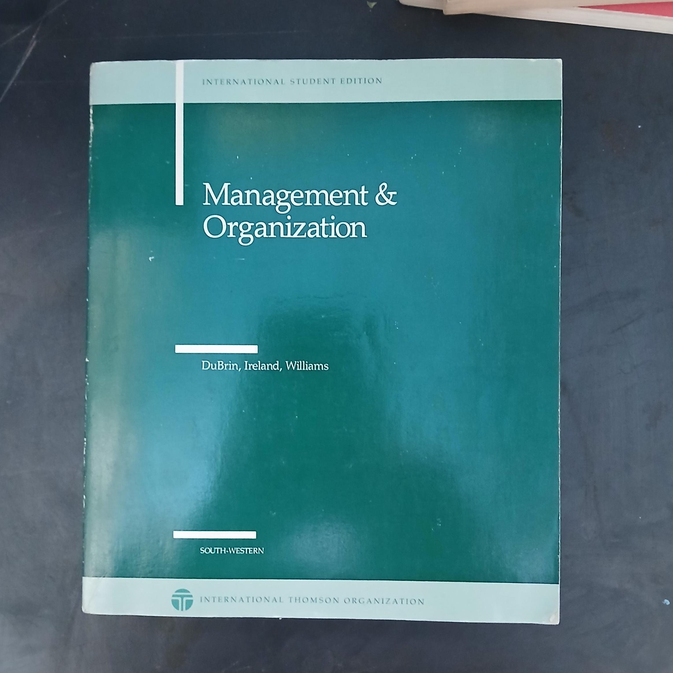 Management organization during irland williams