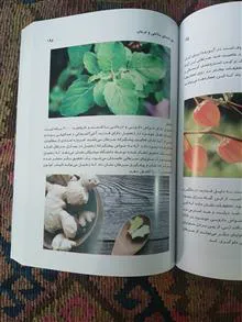 راهنمای