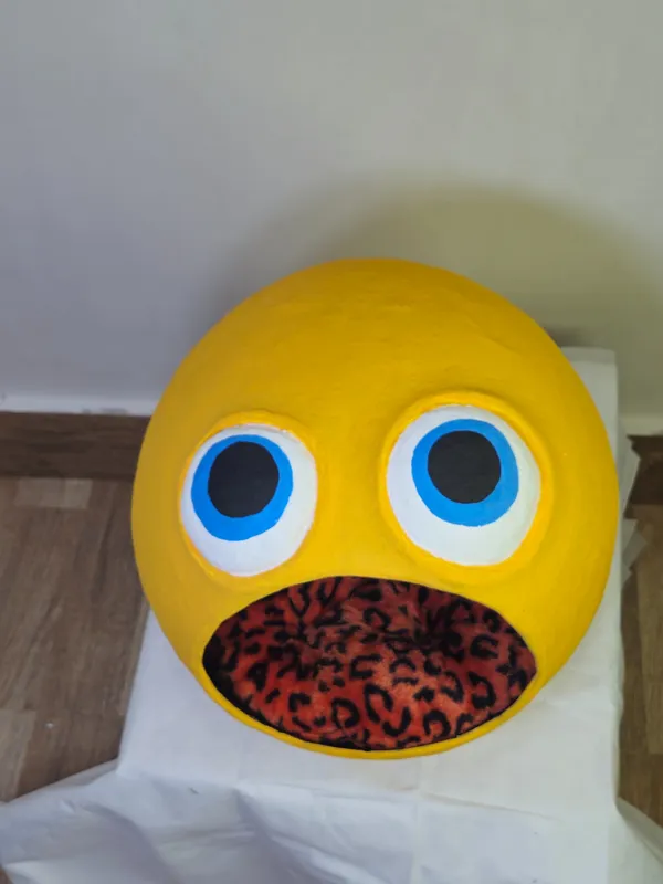 لانه گربه طرح زردک