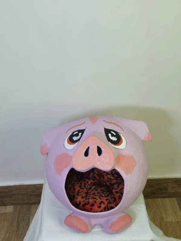 خانه گربه طرح خوک