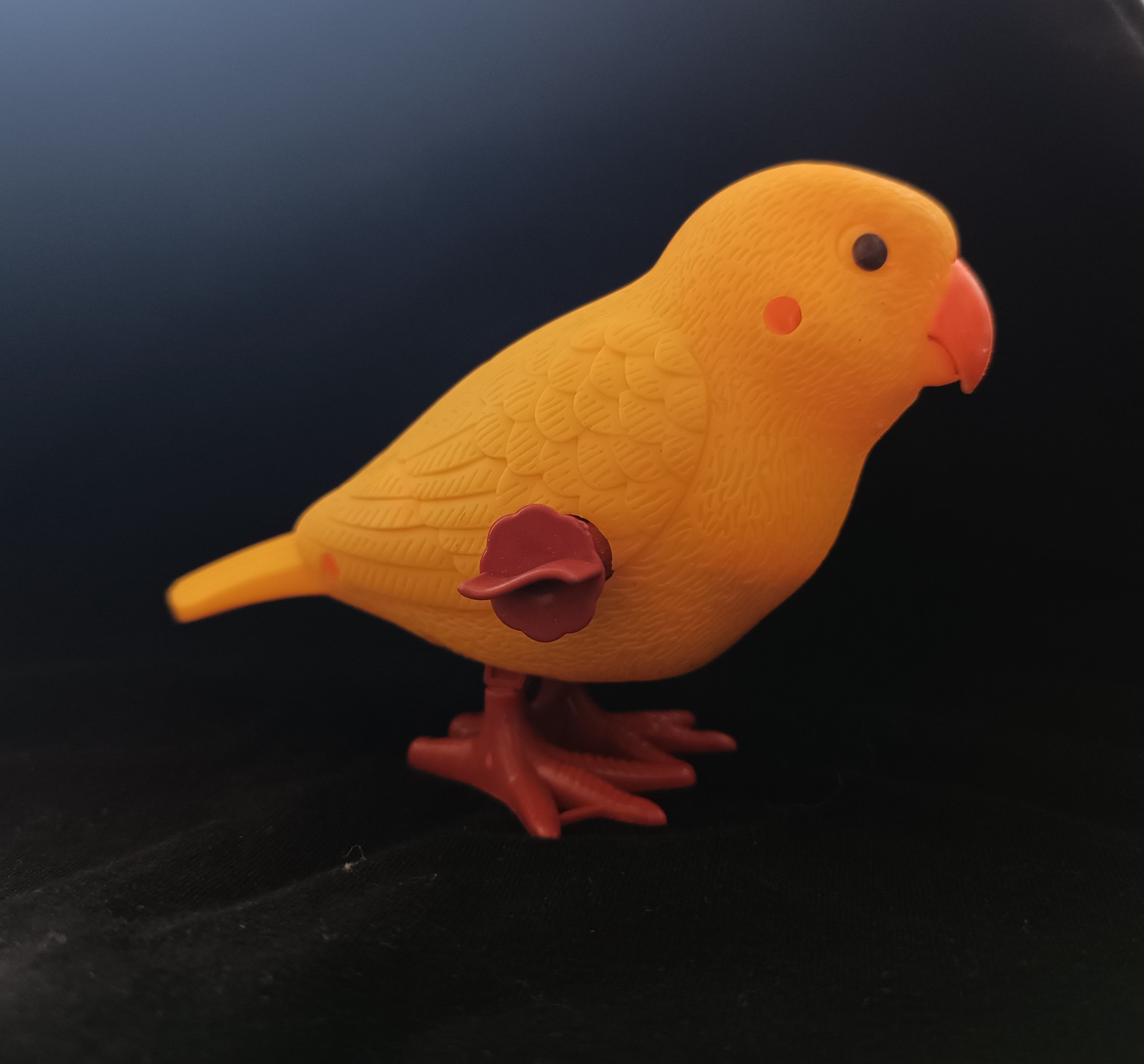 اسباب بازی پرنده کوکی