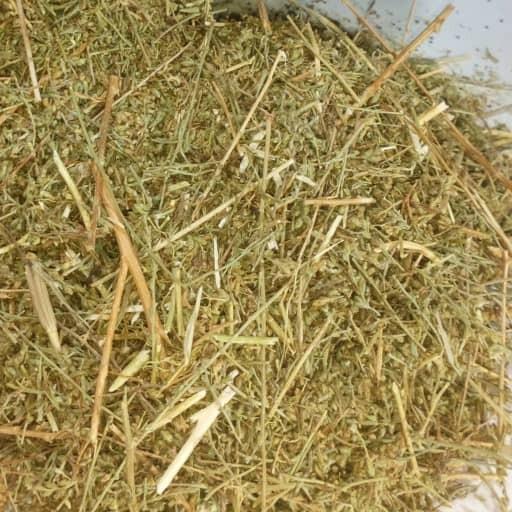 گیاه درمنه ترکی خشک فله یک کیلوگرم