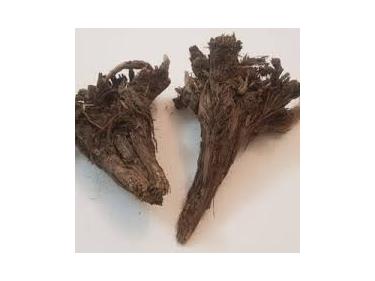 ریشه بابا آدم خشک فله یک کیلوگرم