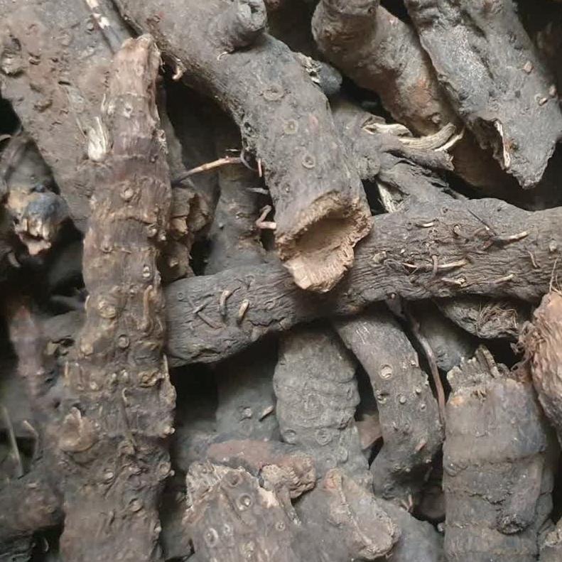 ریشه جنتیانا خشک فله یک کیلوگرم