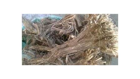 ریشه زرشک خشک فله یک کیلوگرم