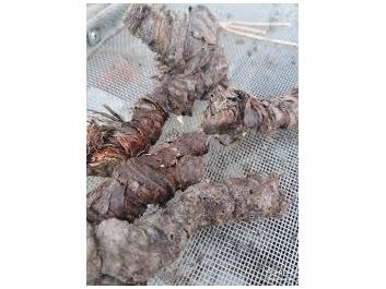 ریشه زنبق خشک فله یک کیلوگرم