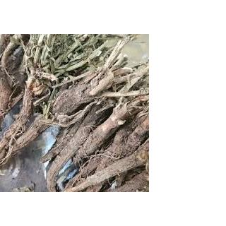 ریشه کاسنی خشک فله یک کیلوگرم