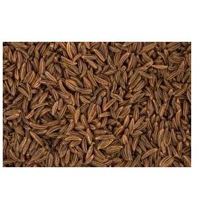 بذر زنیان خشک فله یک کیلوگرم