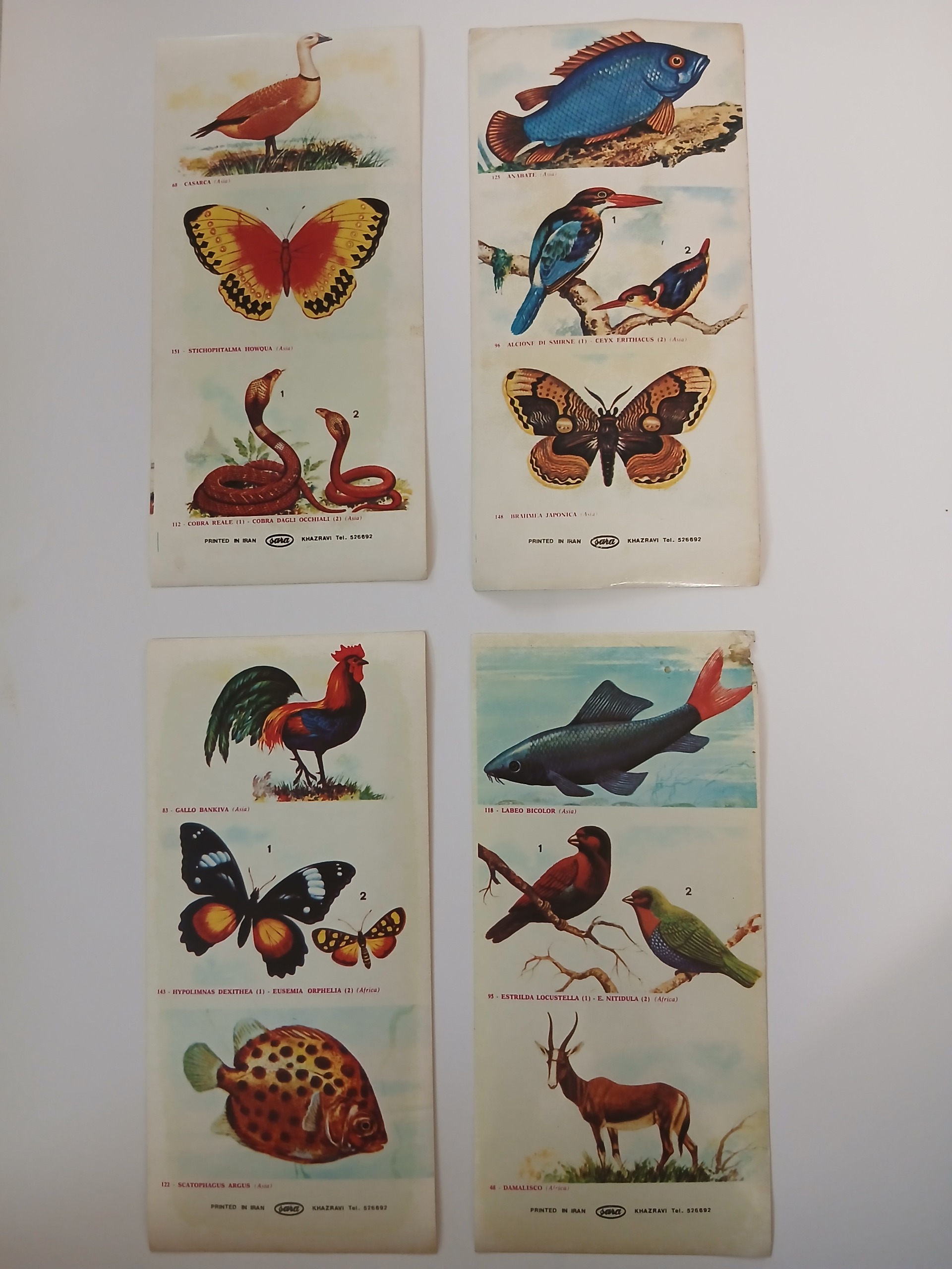 سری برچسبهای حیوانات خارجی اصل دهه دهه 60